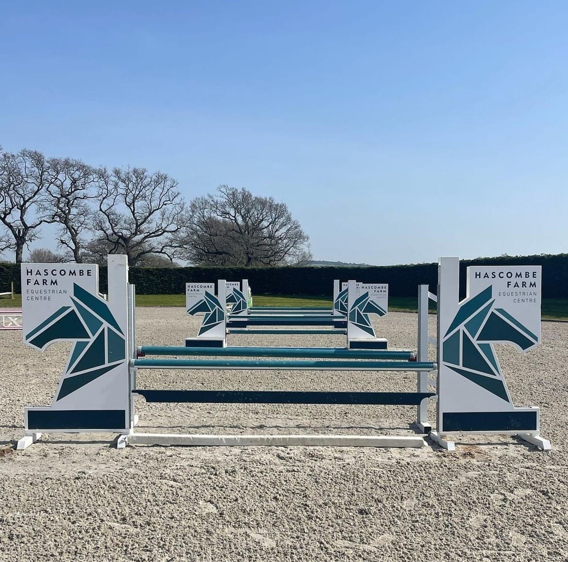 Show Jumping Winter Qualifier at Hascombe